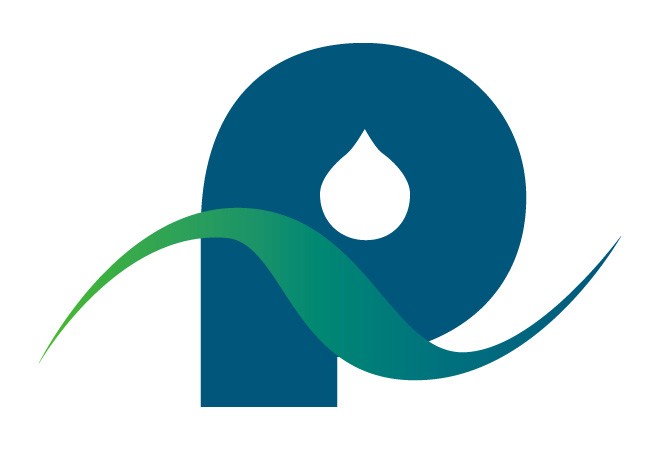 Entreprises petrostar inc